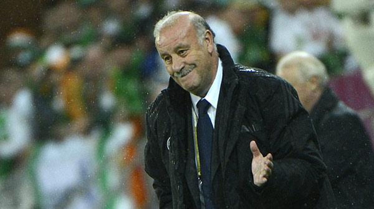 El seleccionador nacional, Vicente Del Bosque, ressalta les qualitats de la seva plantilla i assegura que qualsevol dels 23 jugadors podria jugar perfectament.