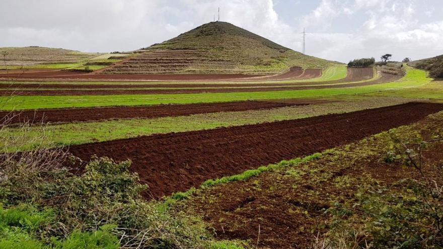 CC propone una planta de compostaje como alternativa a la «incineradora»