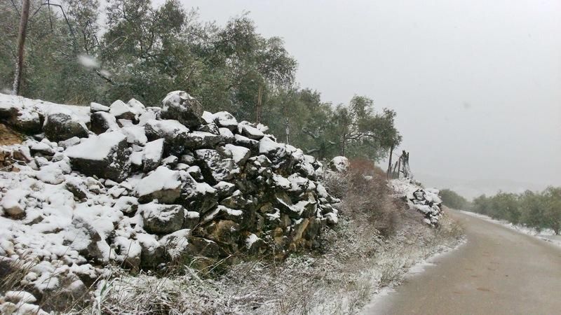 Alfarnate bajo un manto de nieve.