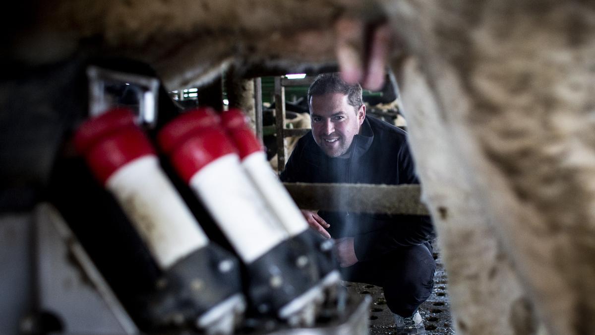 HERNAN HACES, PROPIETARIO DE LA EMPRESA LECHE LECHE, EN SU GANADERIA DE PORRUA