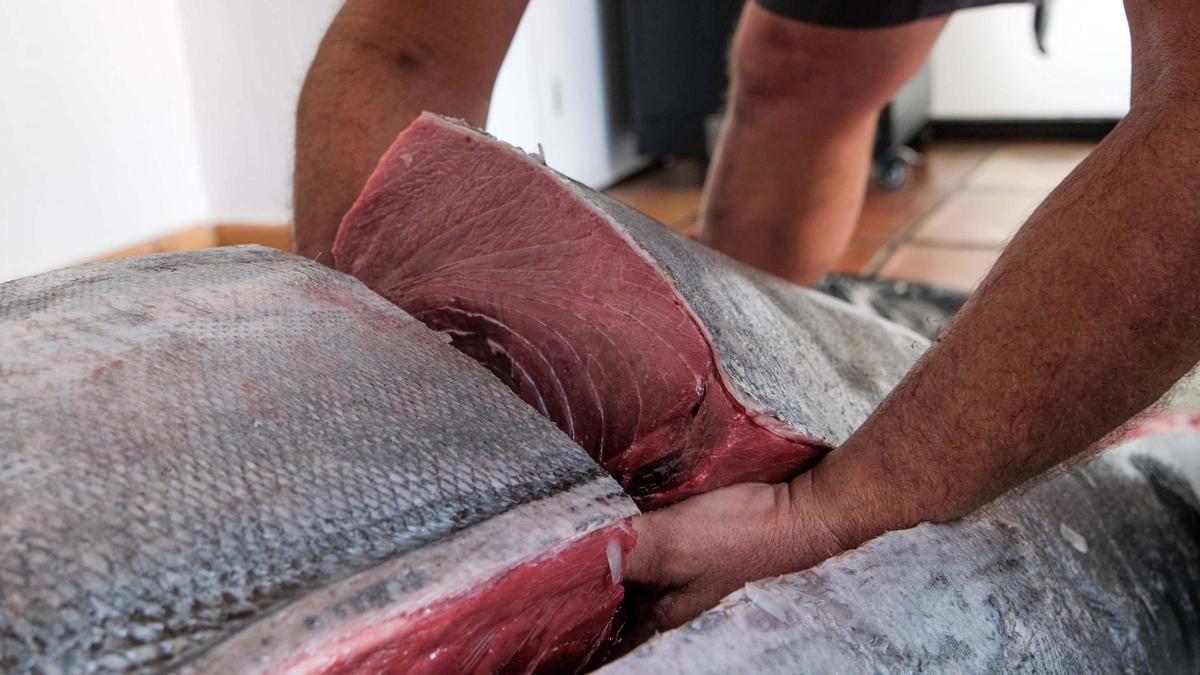 Toni March, pescador de Ibiza, captura un atún de 320 kilos