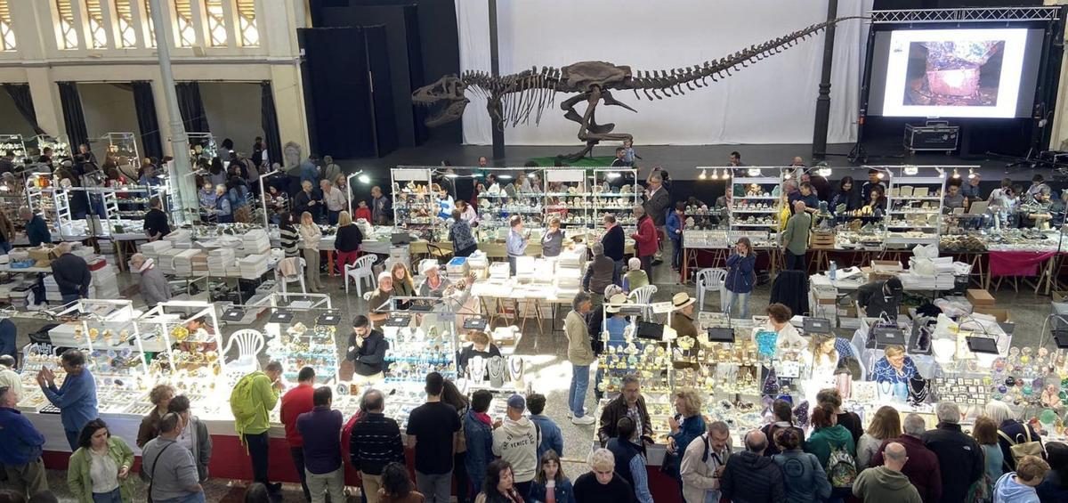 La Feria de Minerales y Fósiles con el esqueleto de un Tiranosaurio Rex como principal novedad. | AYTO. LA UNIÓN