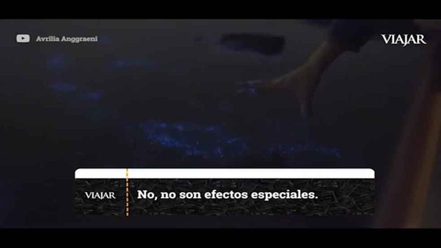 Mar de estrellas