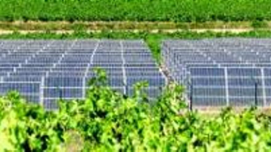 Las empresas fotovoltaicas alertan de otro decreto que las amenaza