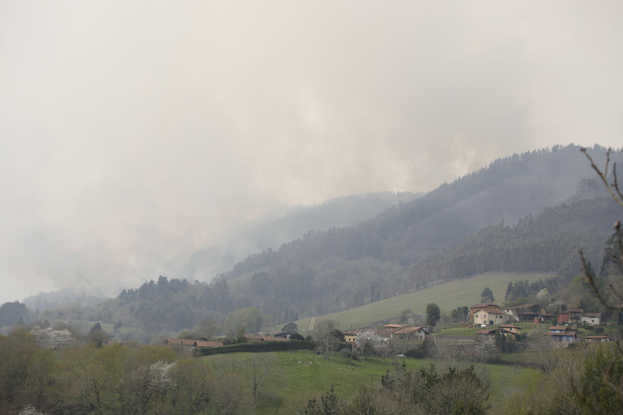 Incendio en la zona de Ques en Piloña