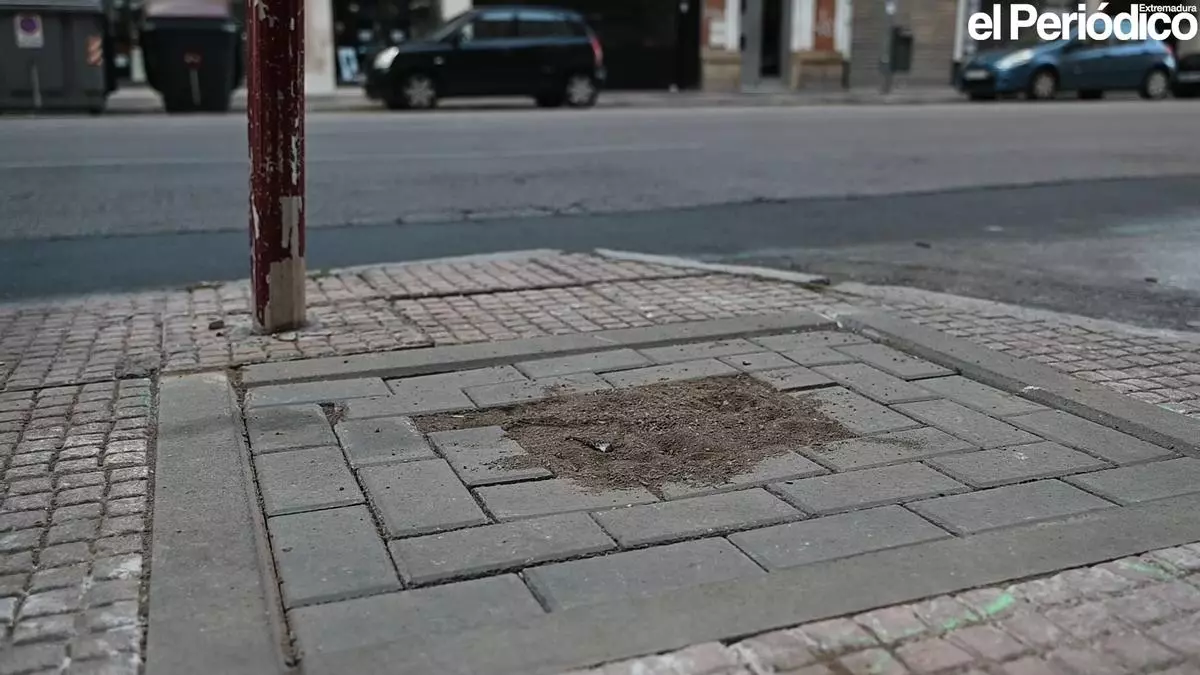 Cables, aceras estrechas y un accidente en Cáceres por las obras: "El ayuntamiento quiere tapar el desastre de la avenida de la Montaña plantando árboles en Antonio Hurtado"