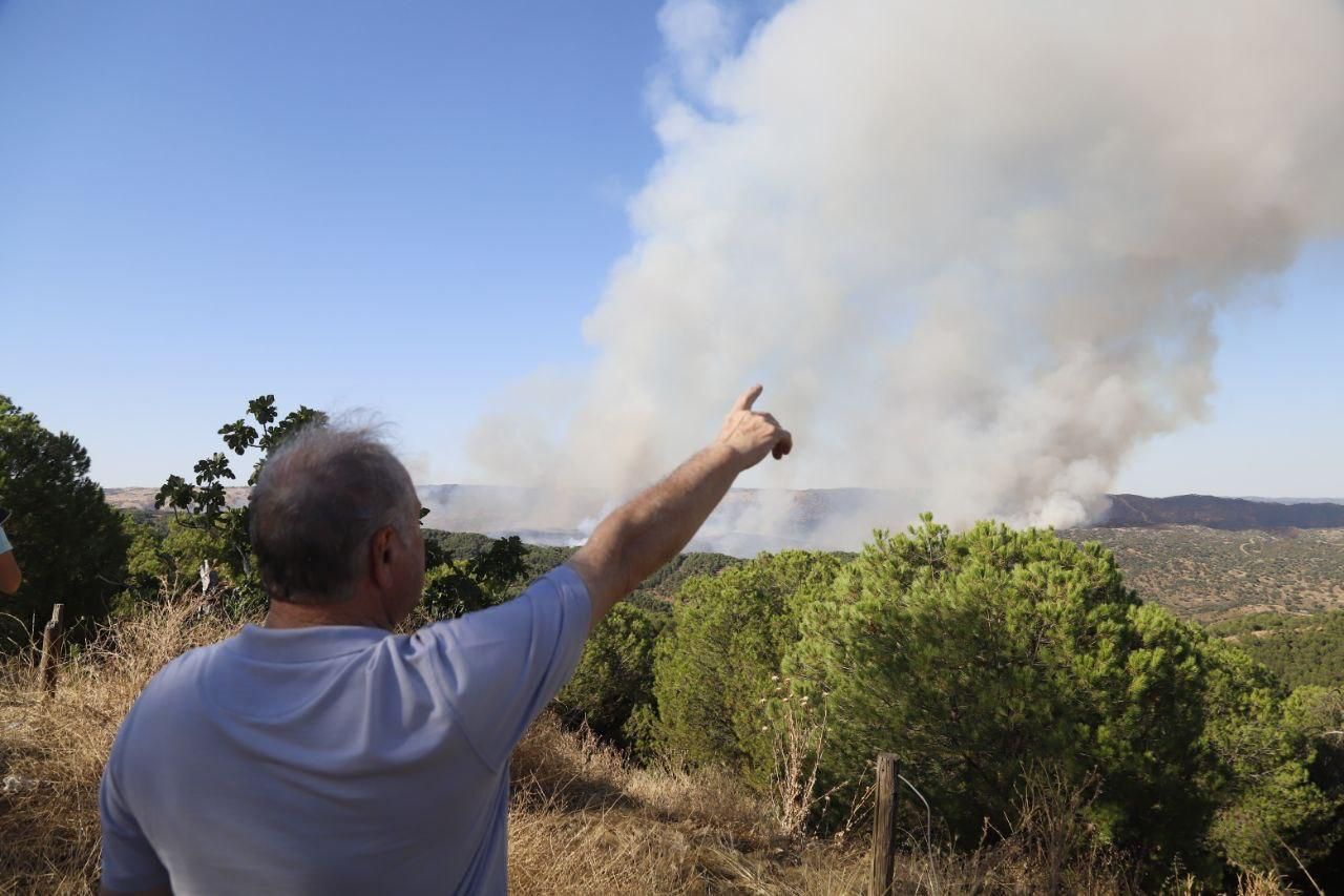 Incendio forestal en Cerro Muriano