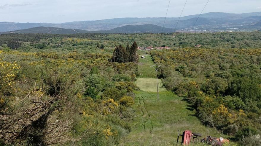 Lugar en el que se registró el suceso en Rebordondo, concello de Cualedro. | FdV