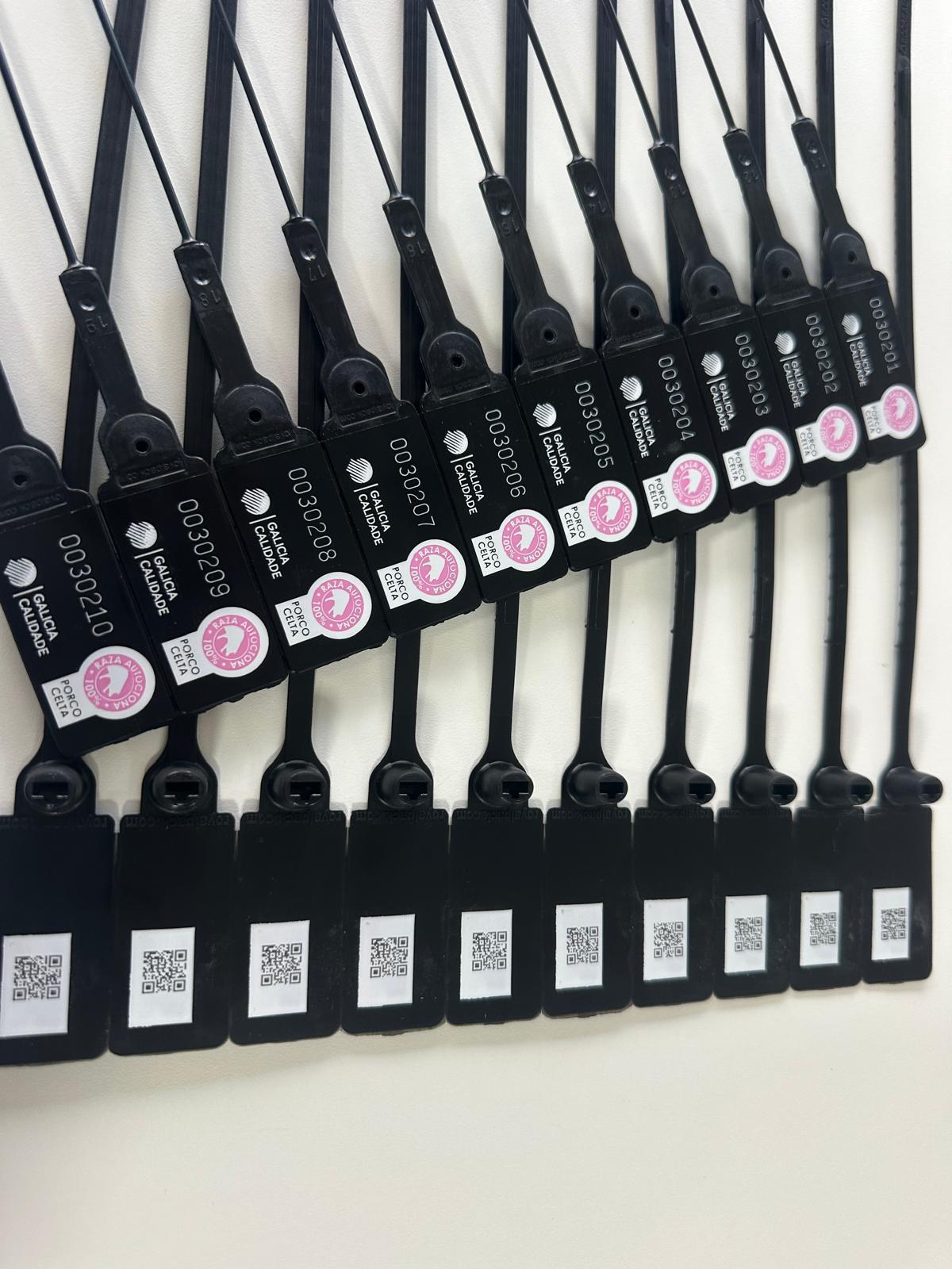 Nuevo sistema que permitirá que las canales y las cabezas de Porco Celta incorporen en su etiquetado un código