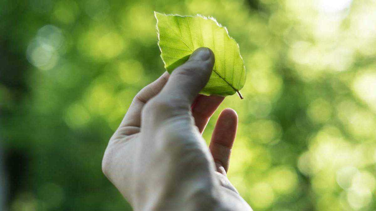 CSR Europe pone en común la inquietud por el cambio climático