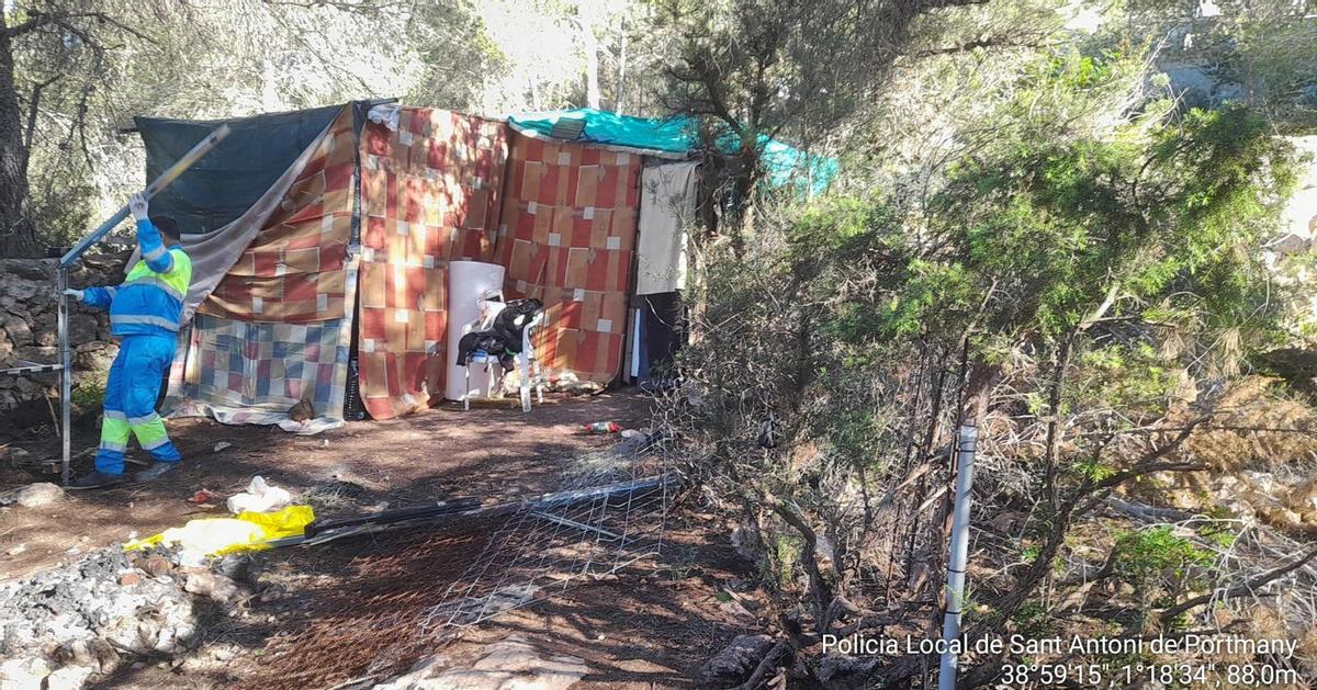 Una chabola en medio del bosque.