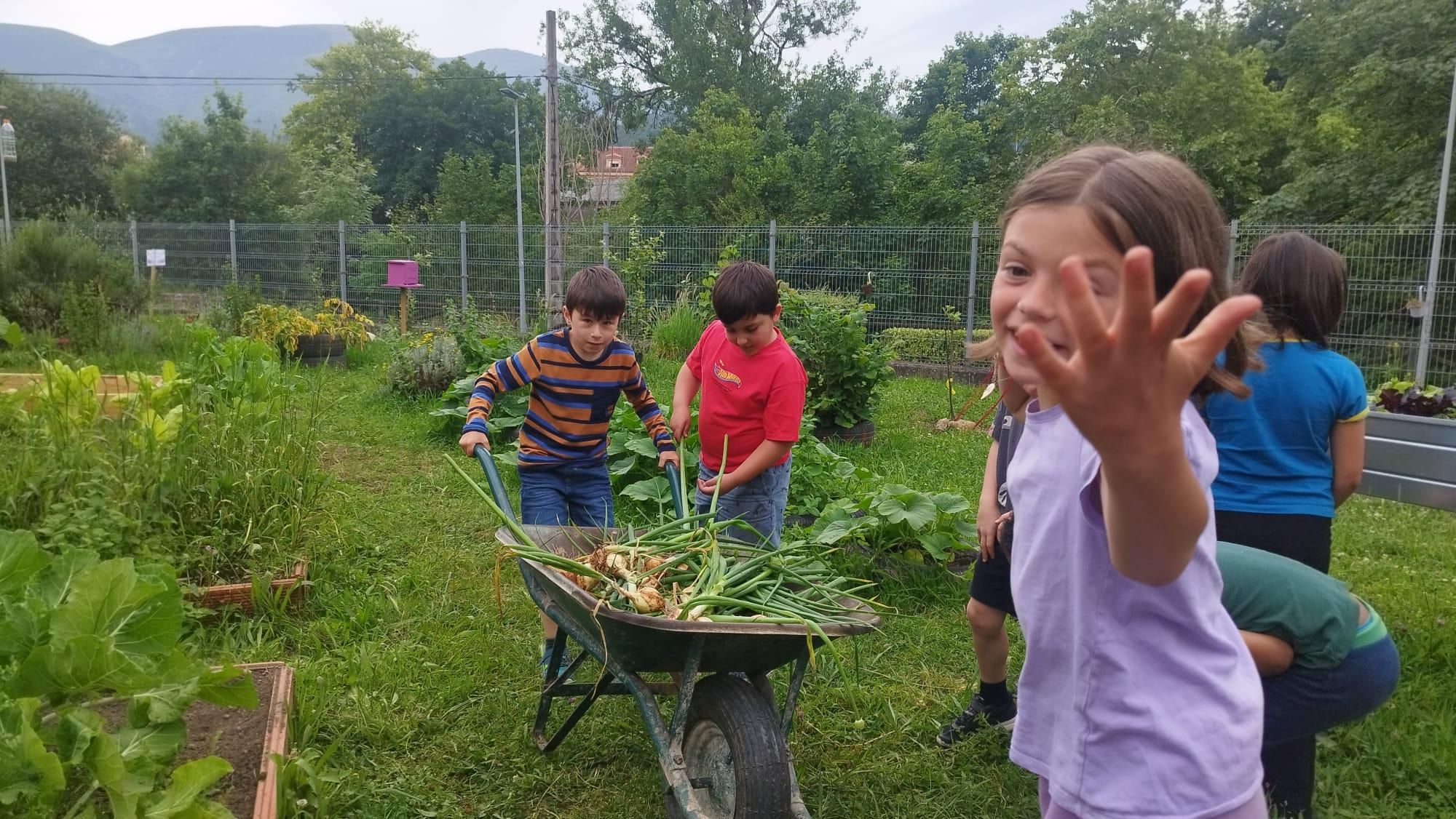Medalla de Innovación para el huerto escolar del CEIP L'Ablanu de Infiesto