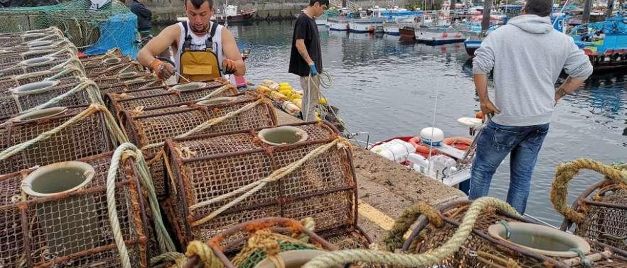 Marineros trabajando con las nasas en el puerto pesquero de Bueu. // Santos Álvarez