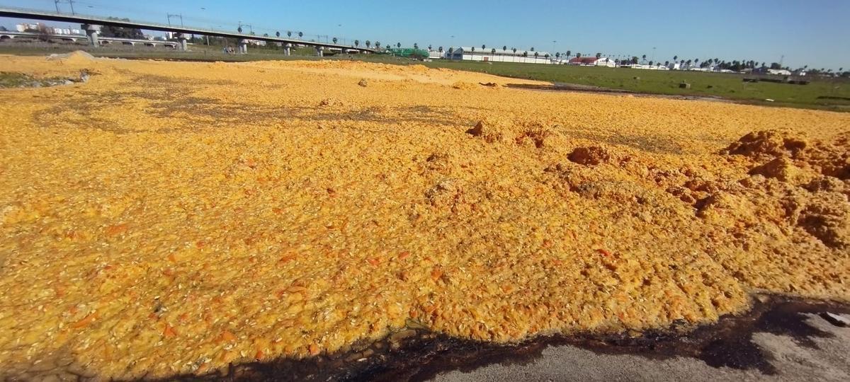 Vertido de naranjas en el barrio de Tablada en una fotografía del 22 de febrero.