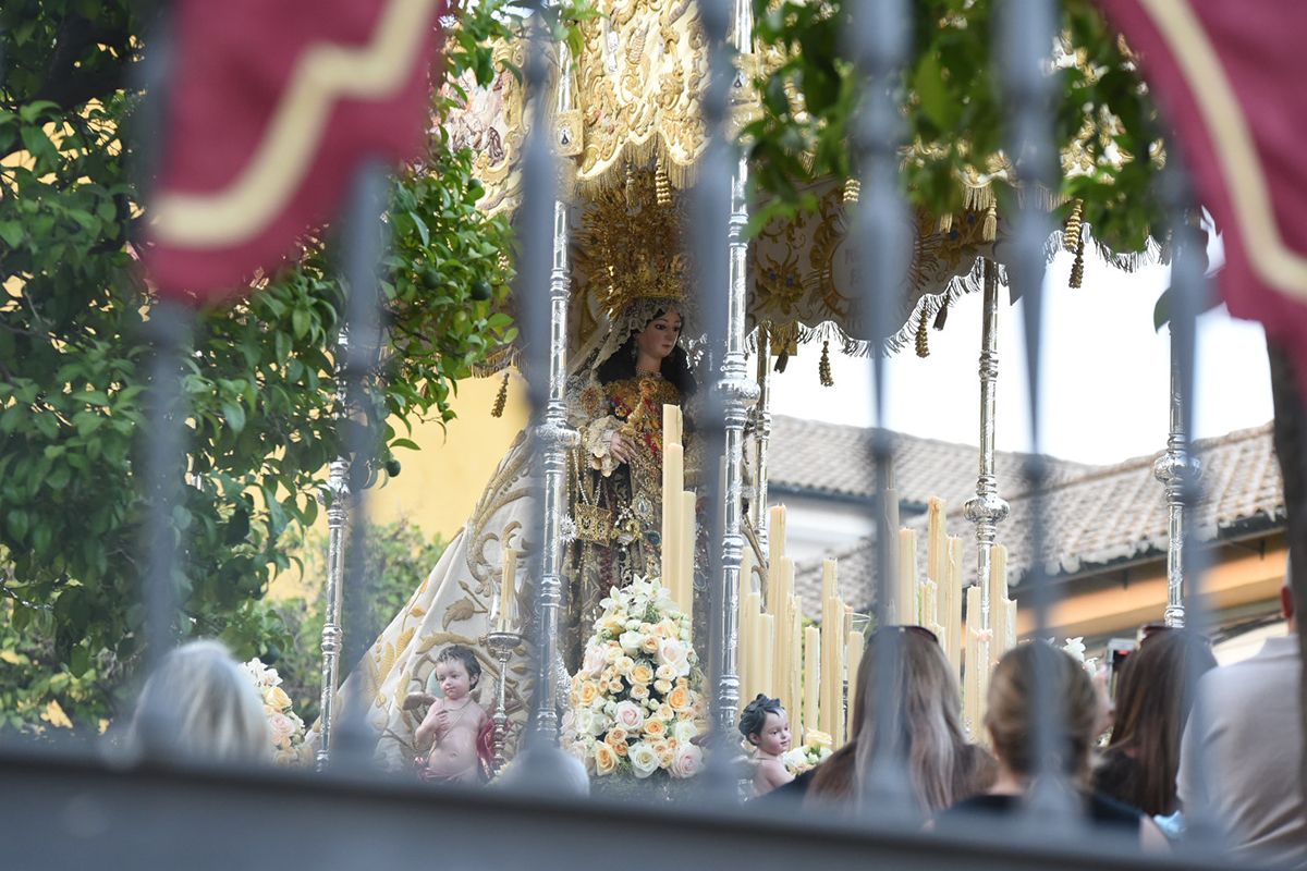 Córdoba recupera la procesión del Carmen, Virgen del Carmen de San Cayetano