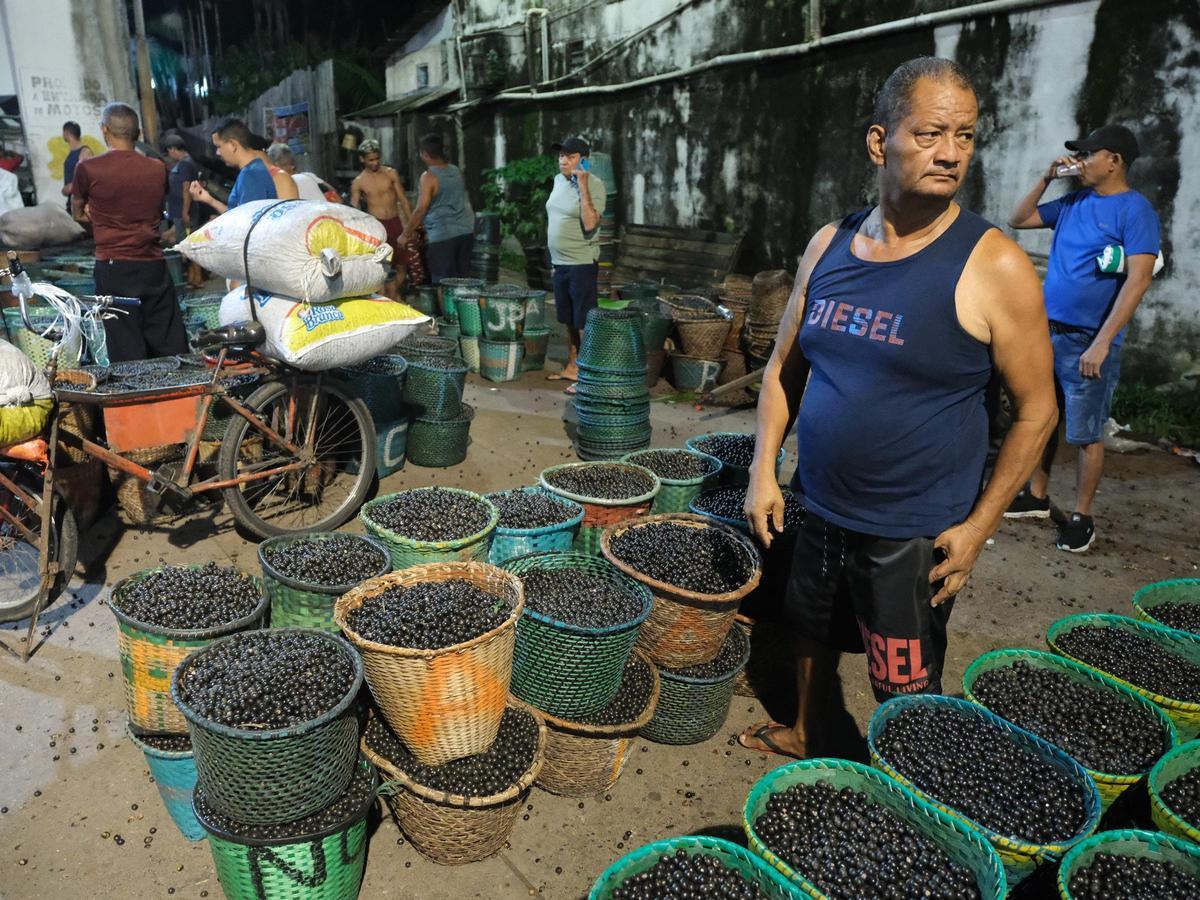 Mercado de açaí en Belém donde el fruto llegar a partir de las cuatro de la mañana