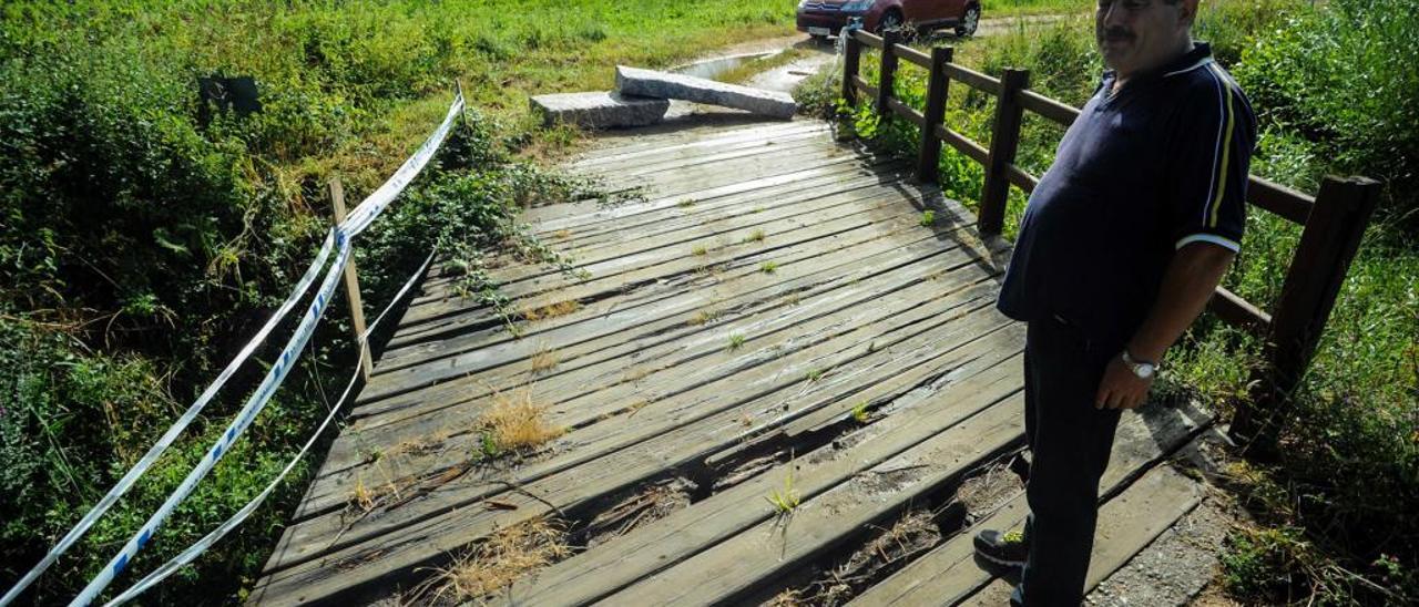 Los cuervos amenazan los maizales de Meaño