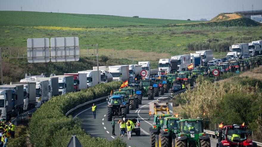 Protestas en el campo: Burocracia, relevo generacional, PAC... Los agricultores explican sus motivos