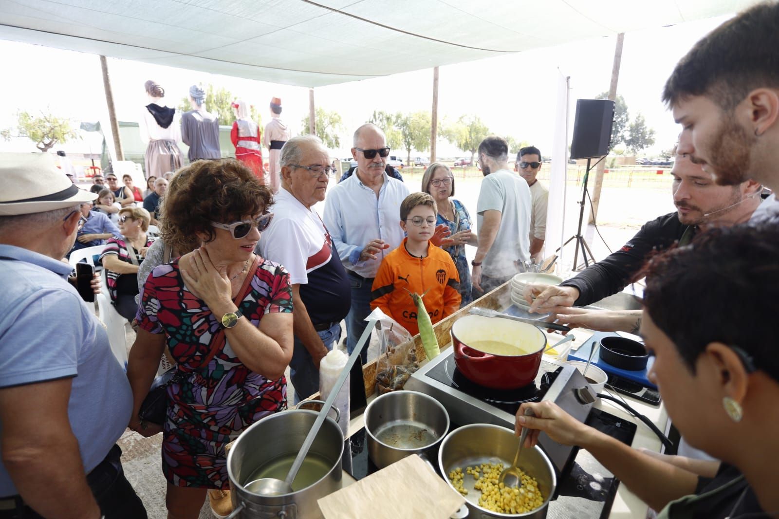 Todas las imágenes de la Fiesta de la Siega del Arroz 2024