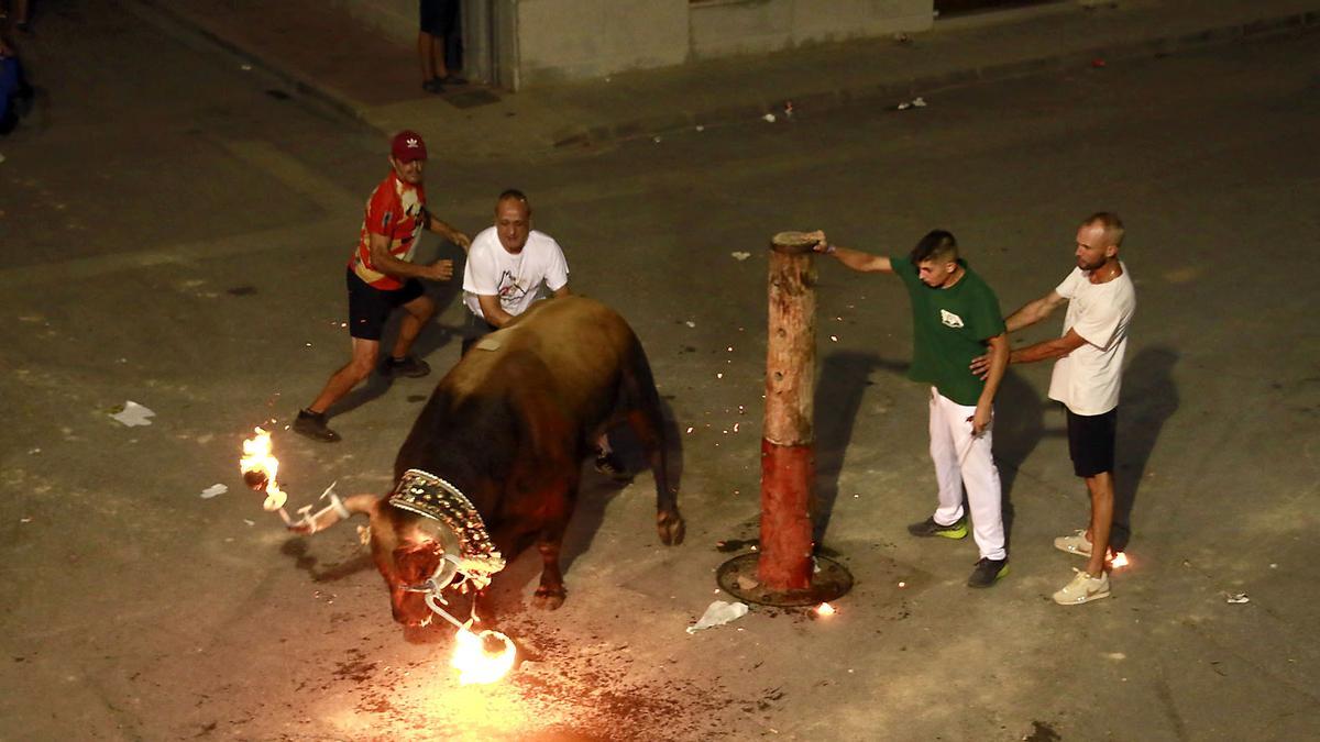 Imagen de un festejo de bou embolat