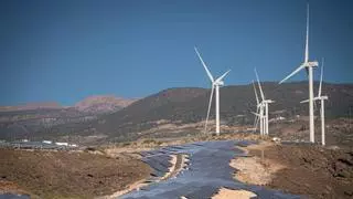 Más por Arona plantea al Gobierno municipal que recurra ante los tribunales la planta fotovoltaica La Estrella