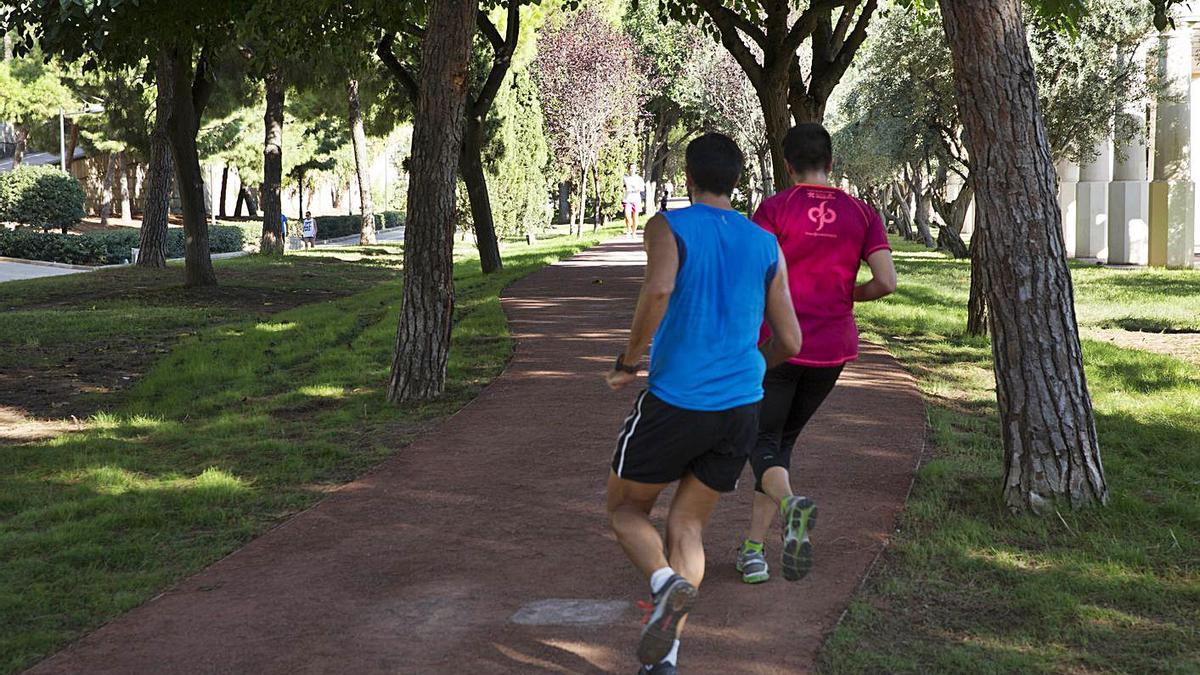 Tramo del Circuito 5K cerca del Palau, donde tiene su hito de salida.  | LEVANTE-EMV