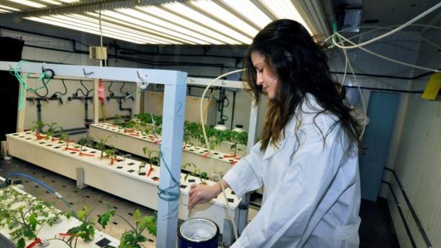 Cristina Romero-Trigueros, en el laboratorio.