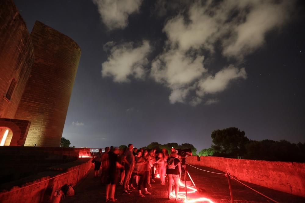 Una noche mirando al cielo: perseidas entre luna nueva