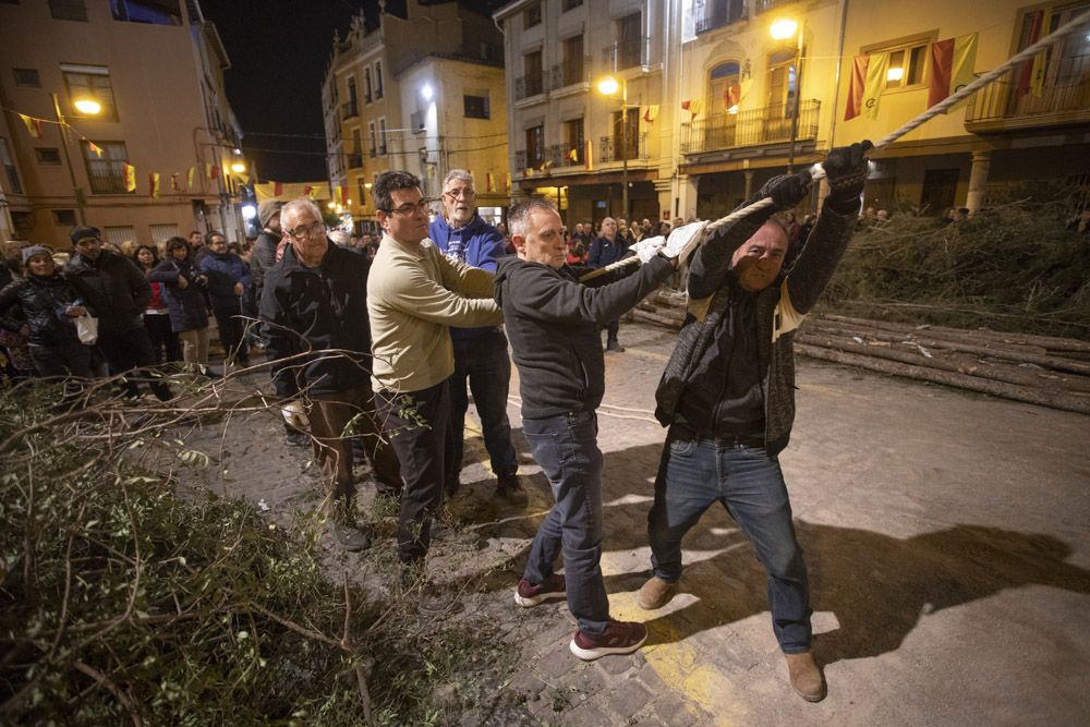 Sant Antoni arranca en Sagunt con la tradicional Plantà del Pi