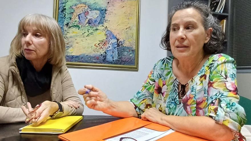 Ofelia Aguiar y Asunción Cívicos, portavoces de la plataforma Residencias Dignas en Canarias. | | E.D.
