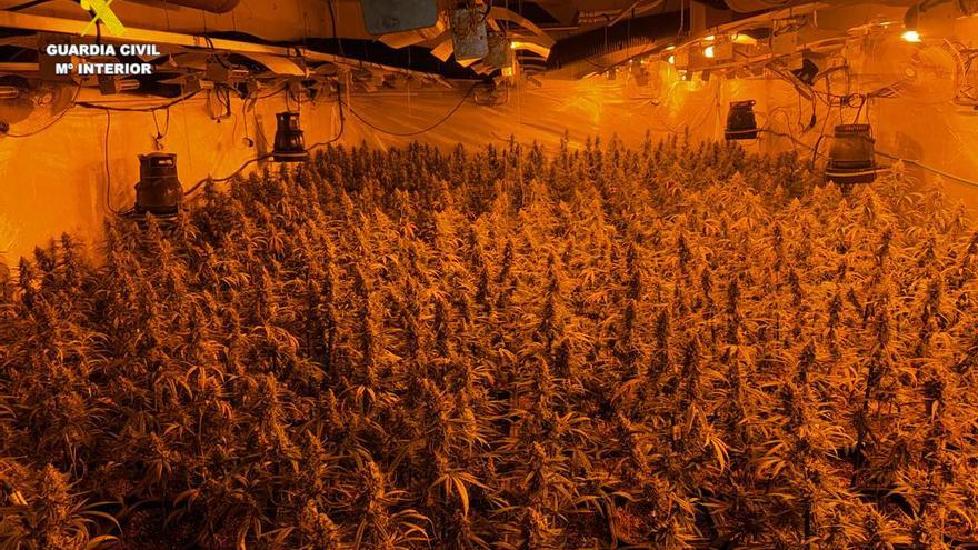 Un incendio revela la situación de dos plantaciones de marihuana en Castellón