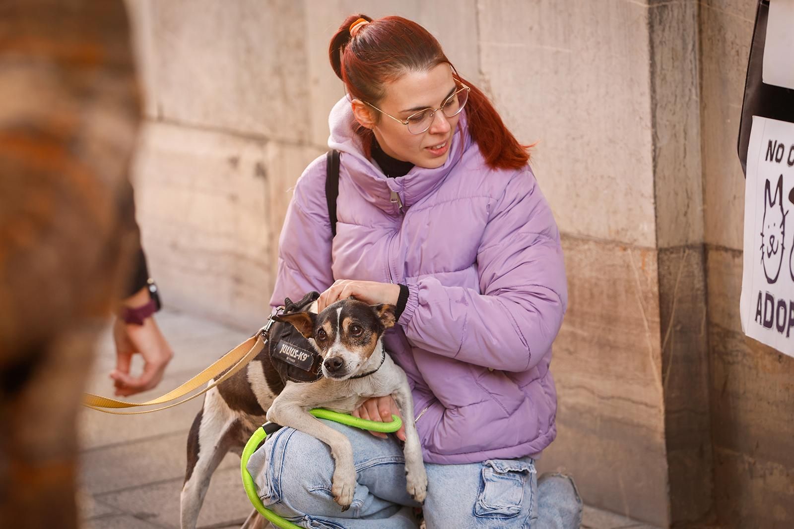 Un paseo con perros para fomentar la adopción