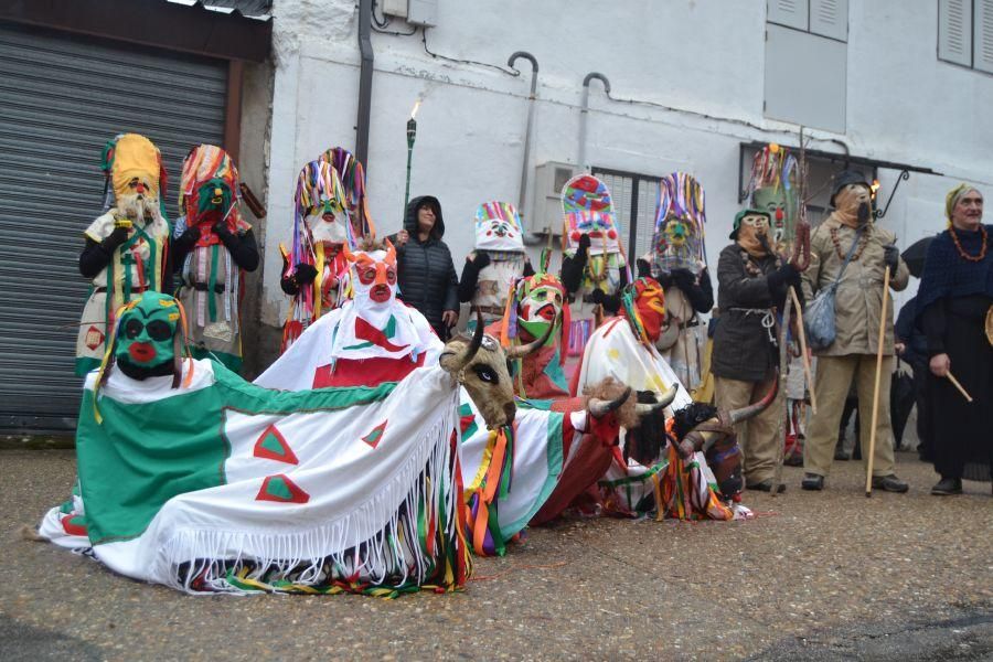 La Visparra recorre las calles de Vigo de Sanabria