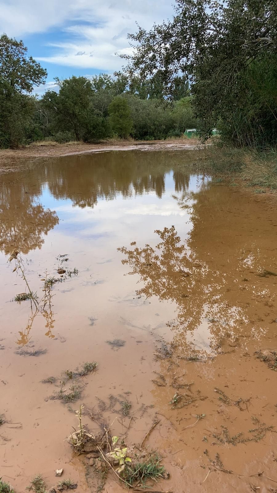 La DANA provoca la cancelación del festival Bosque Sonoro