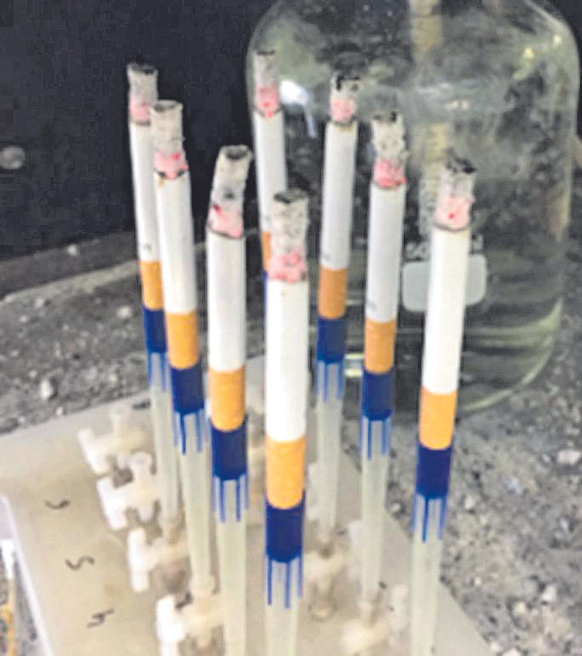 Cigarros fumados artificialmente.