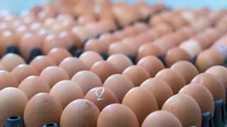 Alerta alimentaria por salmonela en huevos procedentes de España: al menos 13 personas afectadas