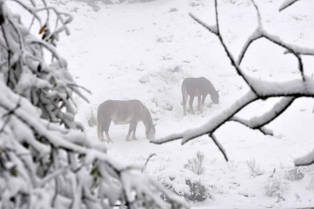 Ola de frío y nieve en Asturias