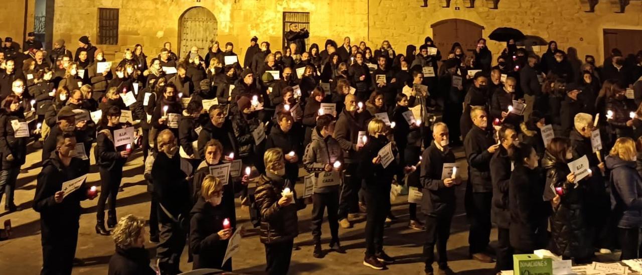 Cerca de 200 personas han protestado en Valjunquera contra el modelo de renovables