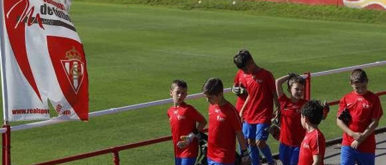 Un grupo de alumnos de la pasada edición del Campus de Mareo.