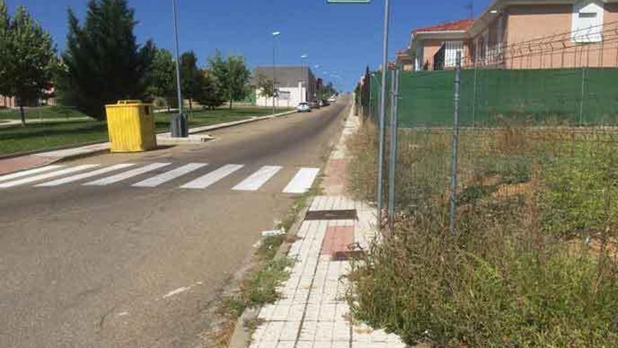 Imagen de un solar cubierto de vegetación en la calle Zafra tomada hace dos años