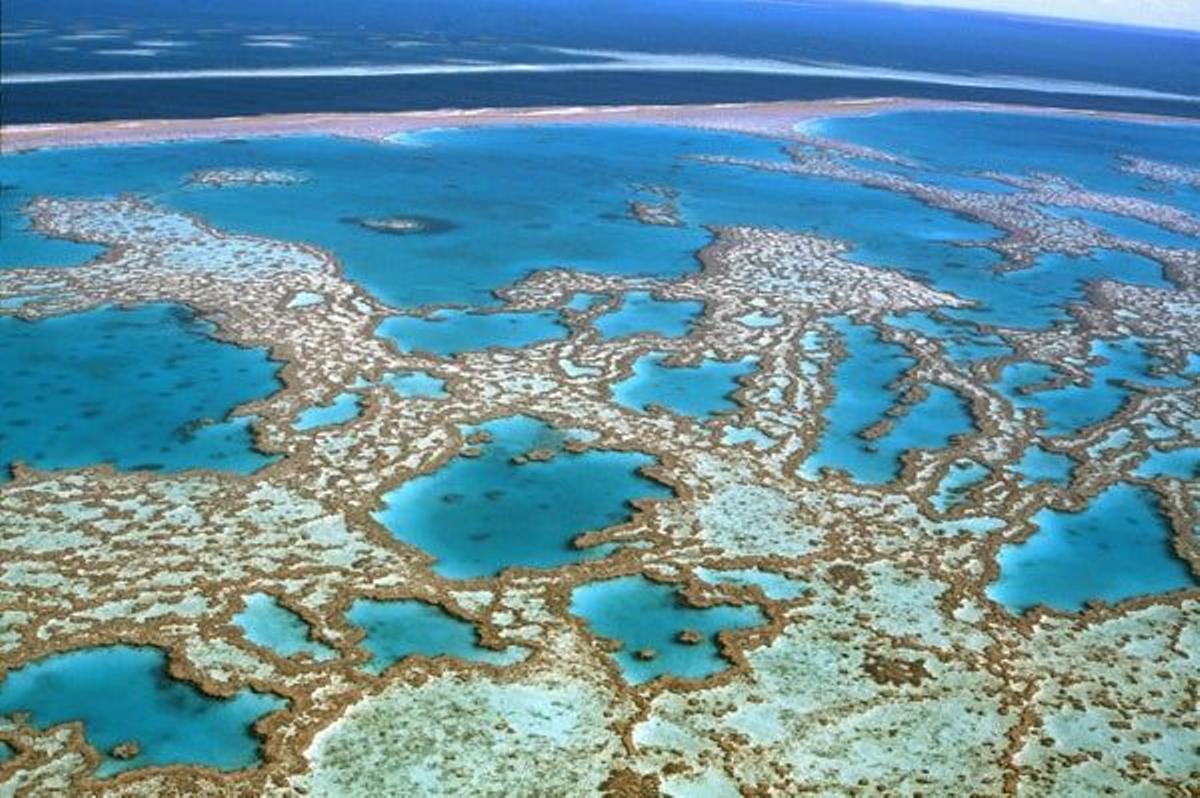 Arrecifes de coral en Whitsundays, Australia.