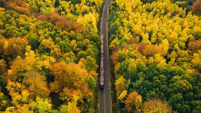 El nuevo tren nocturno que recorrerá 100 ciudades de Europa por menos de lo que cuesta un vuelo
