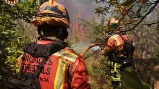 Declarados dos incendios forestales, uno en Alzira y otro en Cotes