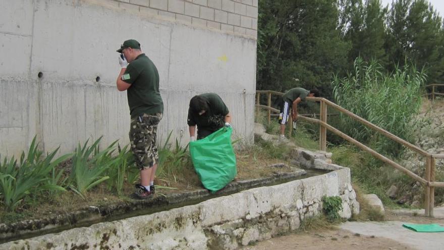 Ibi no realizará el Voluntariado Medioambiental 2020