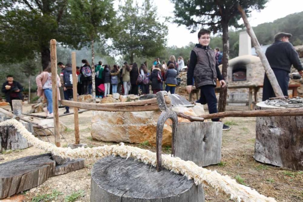 Encendido de la ''sitja'' y actividades lúdicas y educativas