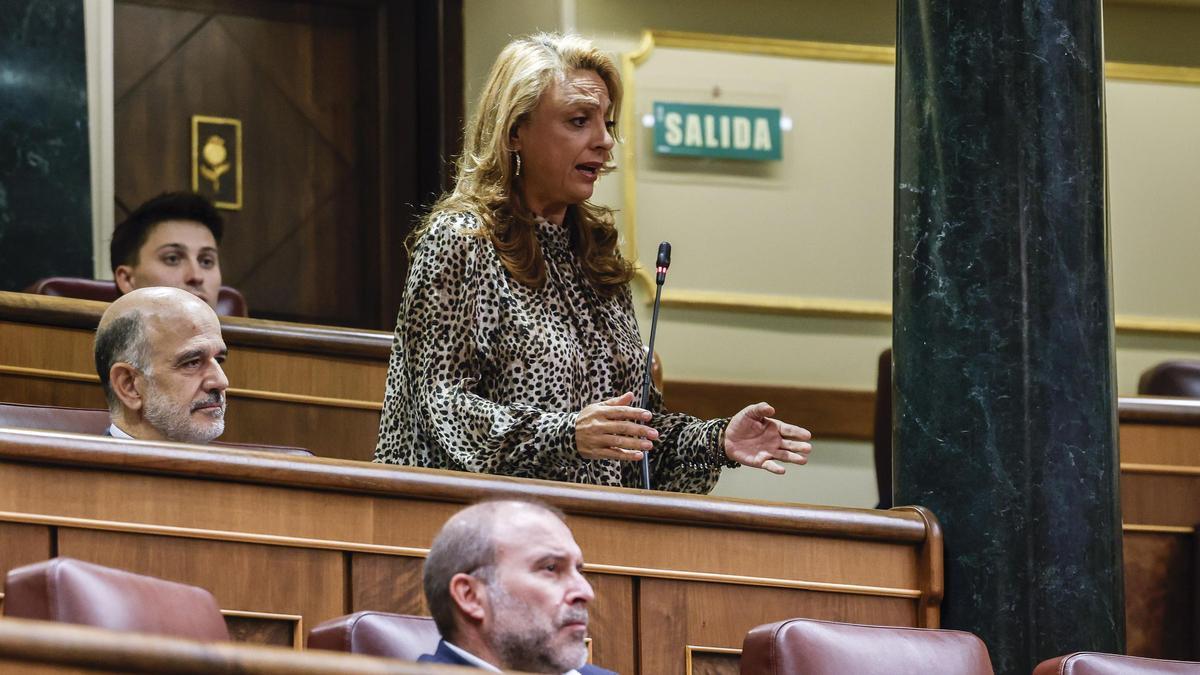 Cristina Valido, este miércoles, durante su intervención en el Congreso.