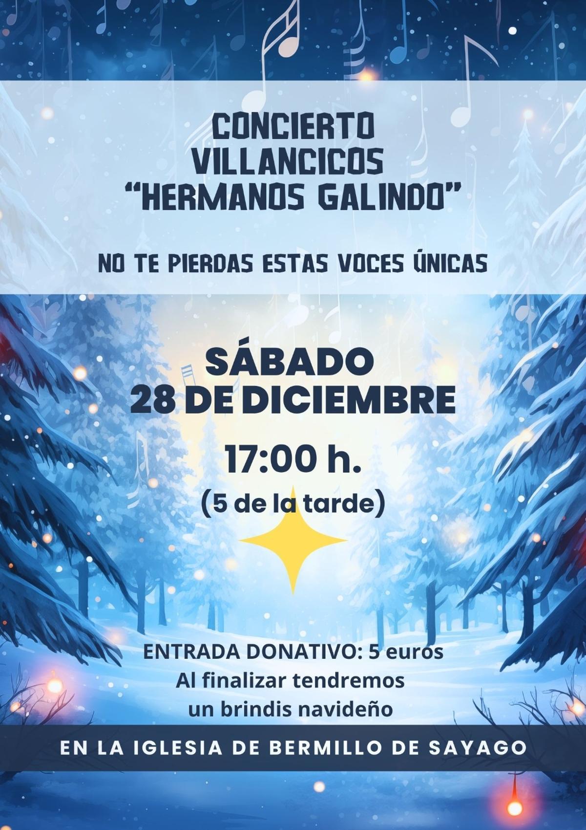 Cartel del concierto
