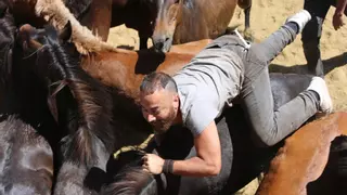 As bestas de Sabucedo sacan carácter