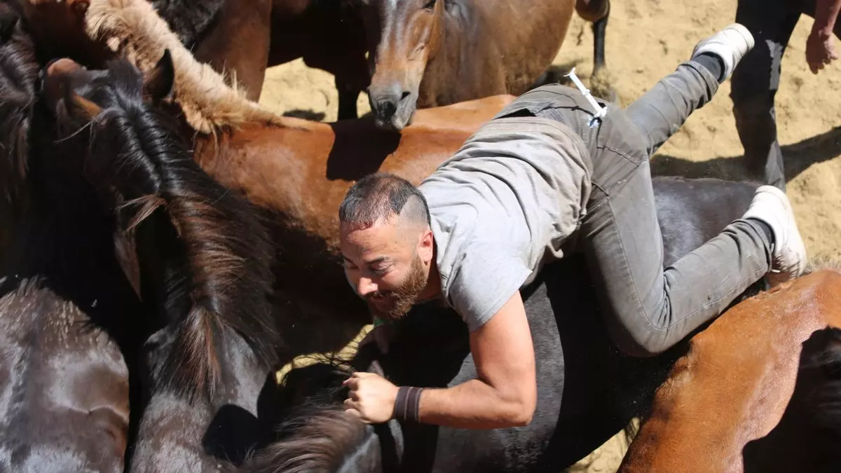 As bestas de Sabucedo sacan carácter