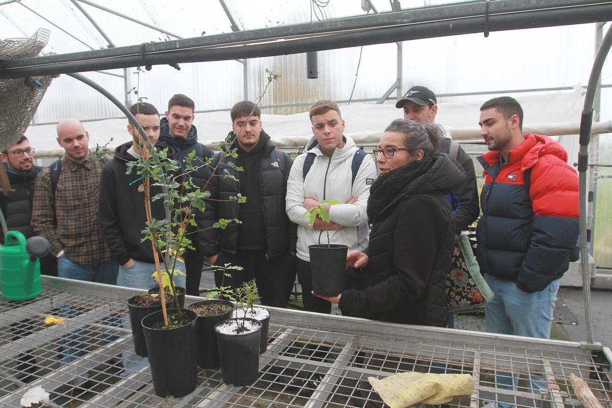Los alumnos atienden una explicación de la profesora.